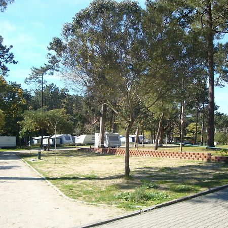 Orbitur Caminha Bungalows - Caravan Park Экстерьер фото