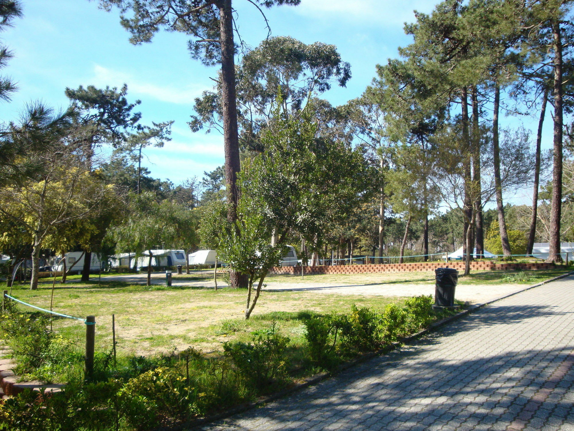 Orbitur Caminha Bungalows - Caravan Park Экстерьер фото